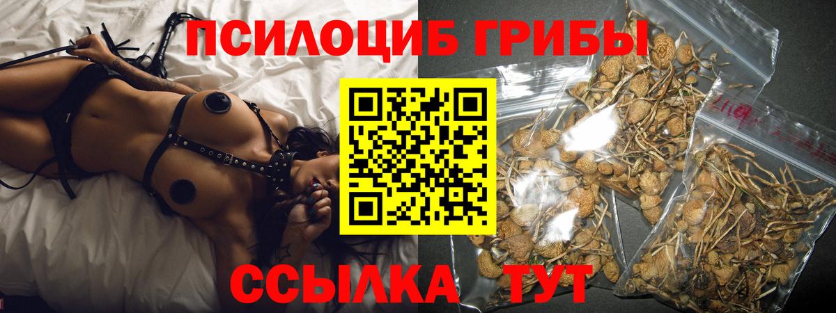 Псилоцибиновые грибы мицелий Ступино