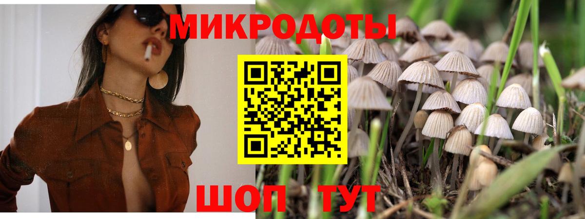 Ступино  купить наркотик  Галлюциногенные грибы Cubensis  Вход с VPN  Псилоцибиновые грибы мицелий 